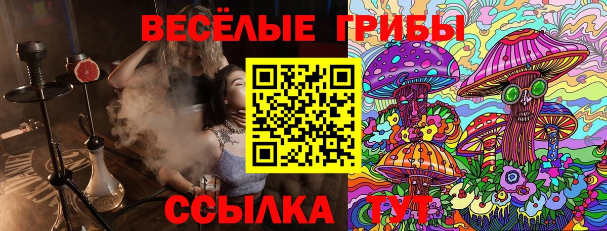 Баксан  Псилоцибиновые грибы Magic Shrooms  Вход с VPN 