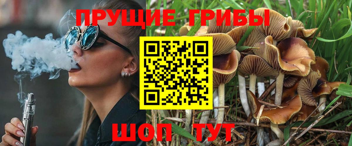 Галлюциногенные грибы Psilocybine cubensis Баксан